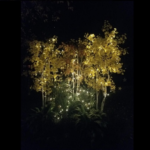 Night Life Fall Trees Rent-A-Woods - Artificial Trees & Floor Plants - Artificial fall trees with lights for outdoor weddings